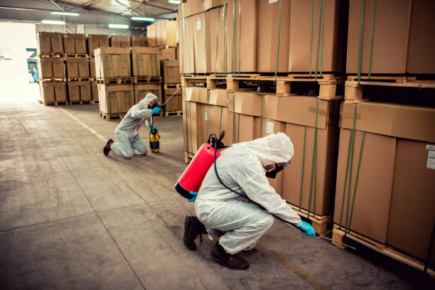 Best Bed Bug Extermination  in Hercules, CA