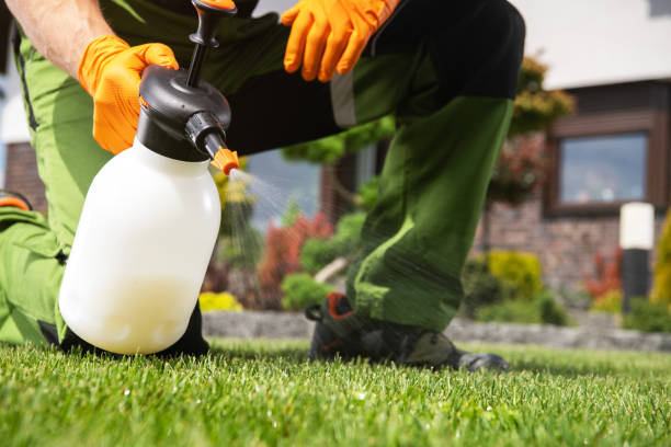 Best Pest Prevention Services  in Hercules, CA