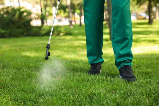 Best Pest Removal Services  in Hercules, CA