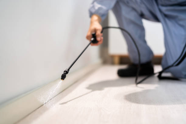 Pest Prevention Services in Hercules, CA
