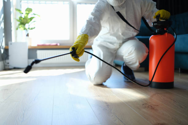 Best Affordable Pest Control Services  in Hercules, CA
