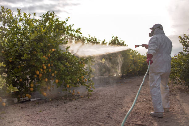Best Residential Pest Control  in Hercules, CA