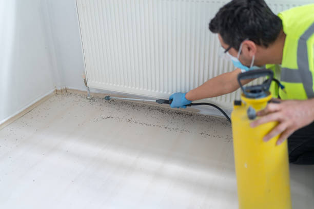 Best Pest Control Near Me  in Hercules, CA