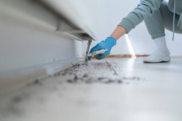 Best Best Pest Control Companies  in Hercules, CA
